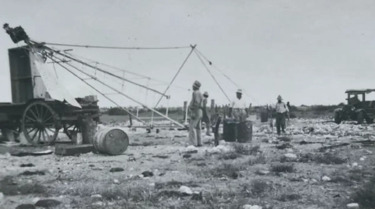 Windmill and ox wagon