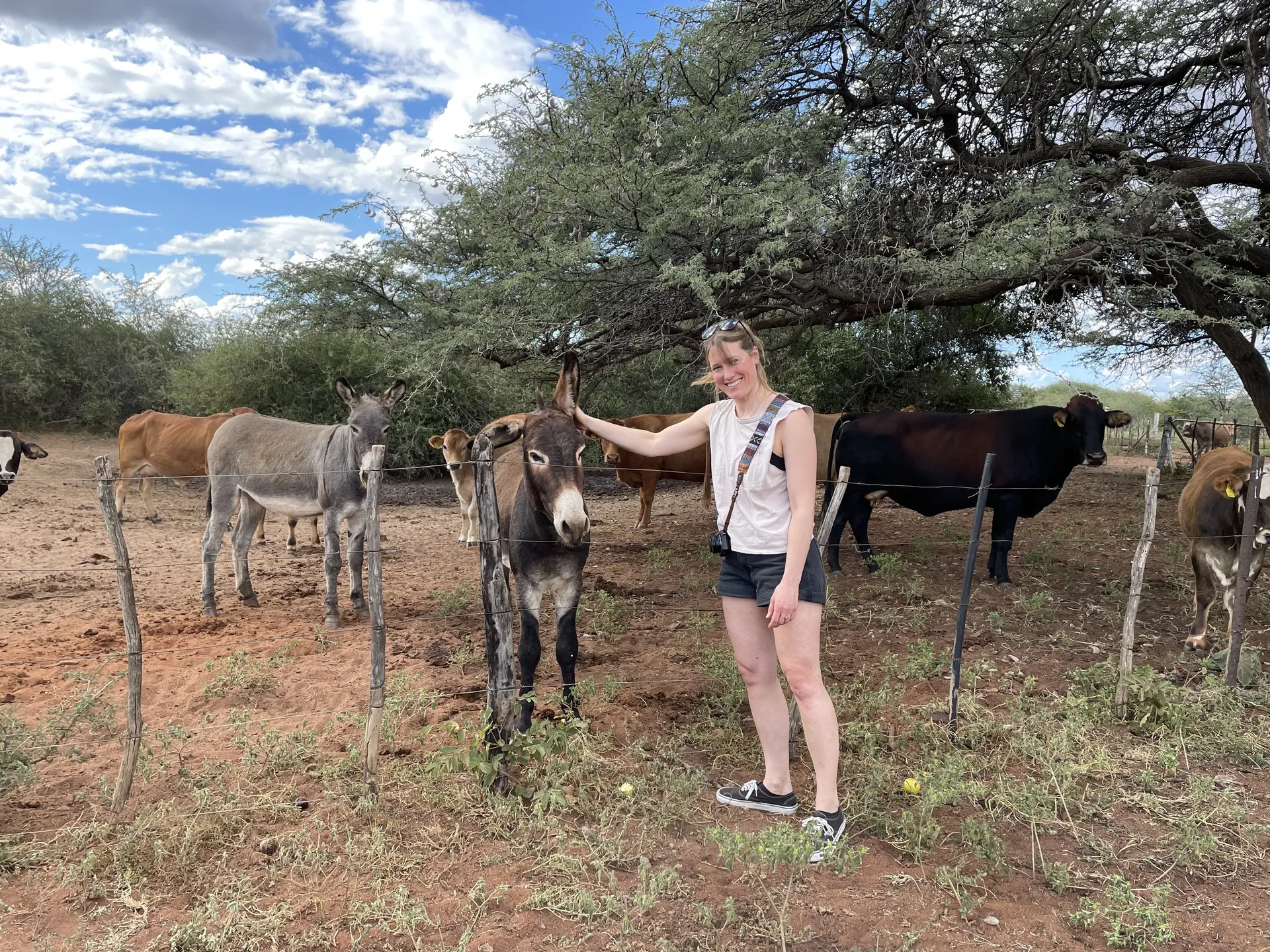 Authentic Farm Tour