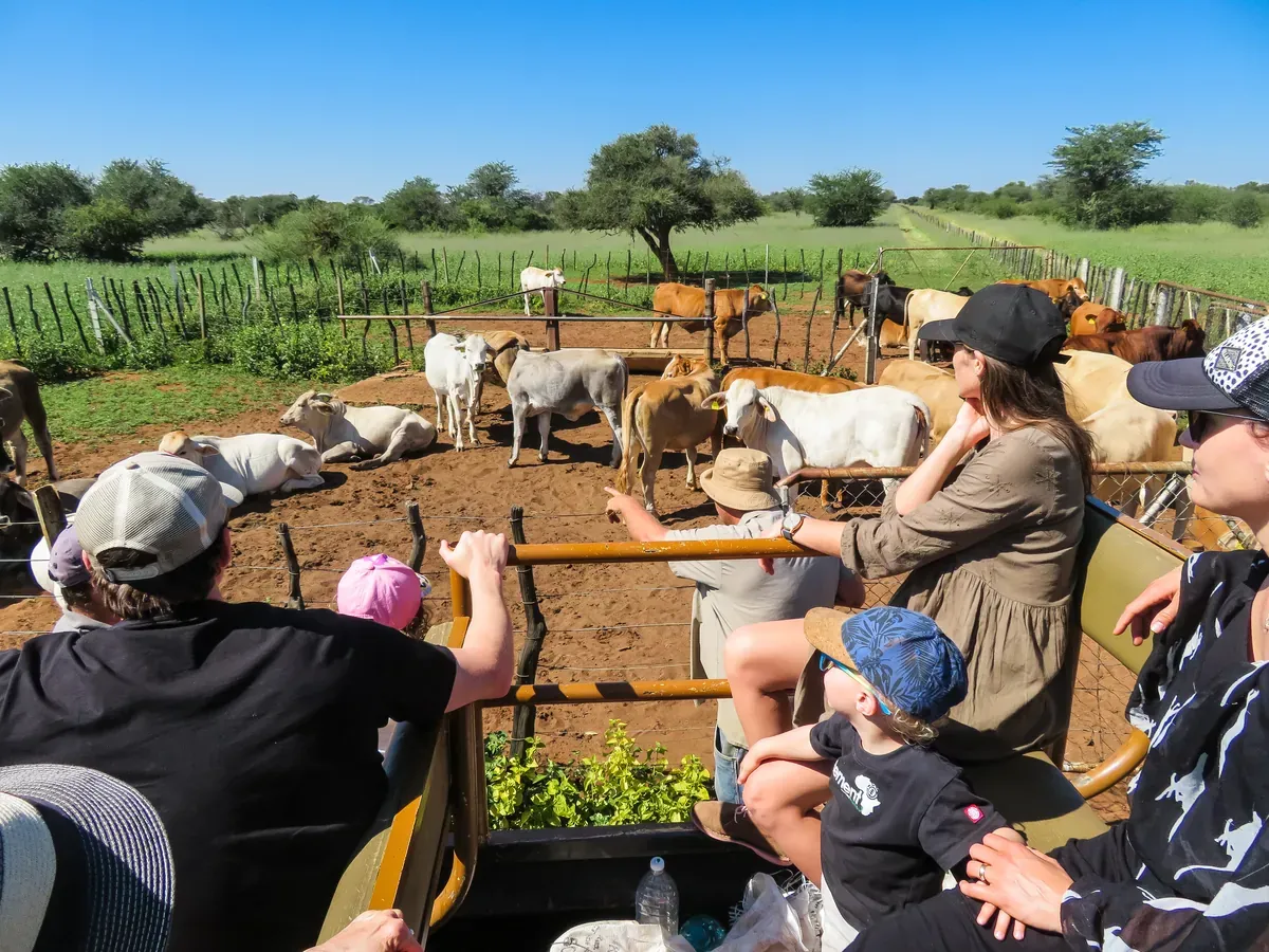 Authentic Farm Tour